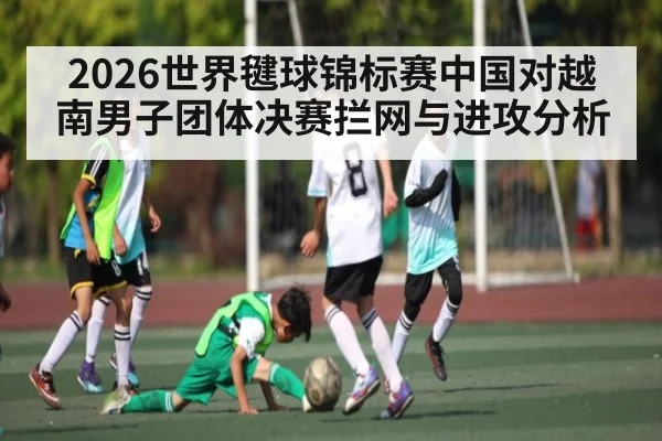 2026世界毽球锦标赛中国对越南男子团体决赛拦网与进攻分析